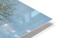 Poplars HD Metal print