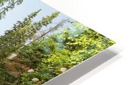 Bijoux Falls HD Metal print