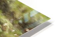 Tucked In HD Metal print