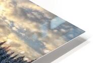 Frozen HD Metal print