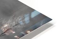 Winter HD Metal print