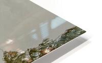 Summer Rain HD Metal print