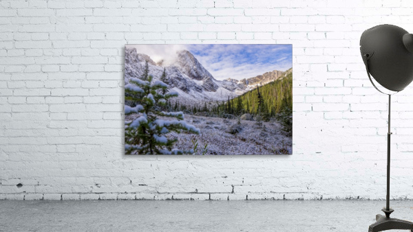 Dunn Peak Wall Preview