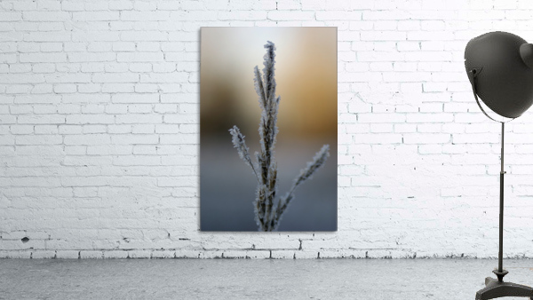 Frost Wall Preview