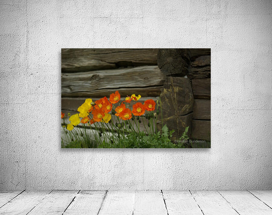 Flowers Wall Preview