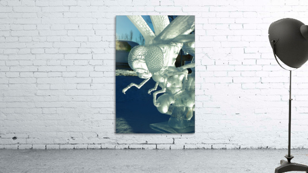 Ice Dragonfly Wall Preview