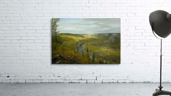 Fall Colours Wall Preview