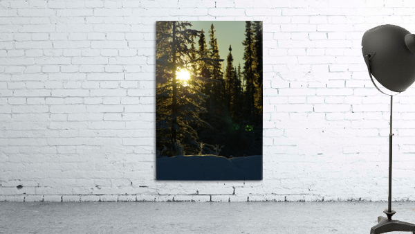 Winter Sunrise Wall Preview