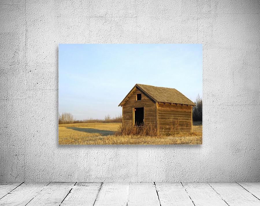 Grain Shed Wall Preview