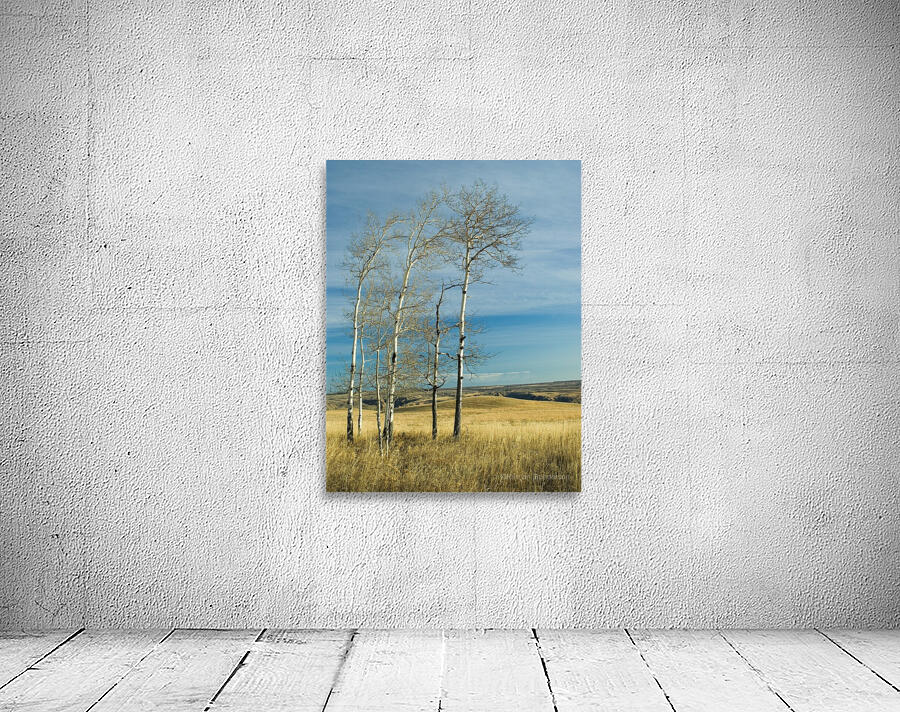 Poplars Wall Preview