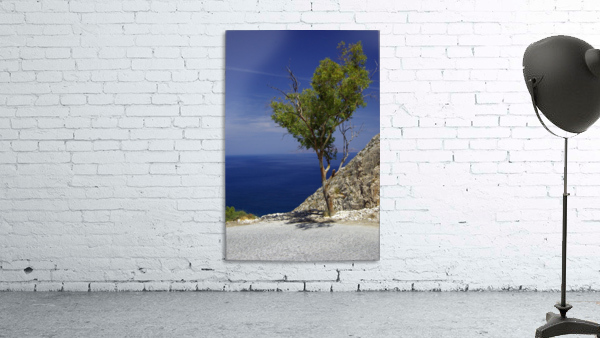 Santorini Tree Wall Preview