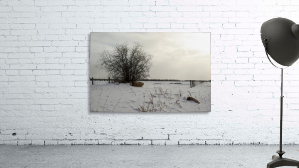 Winter Wall Preview