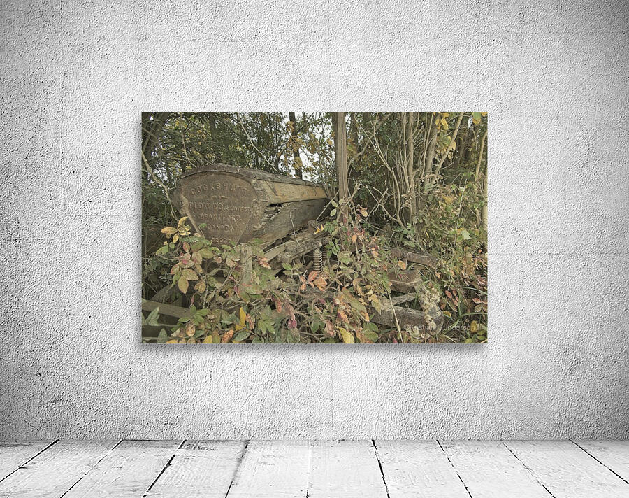 Overgrown Wall Preview