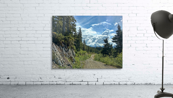Mountain Road Wall Preview