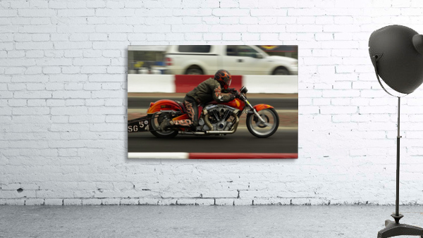 Harley Wall Preview