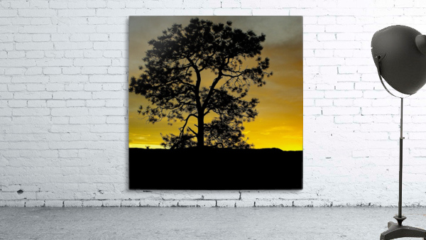 Lone Pine Wall Preview