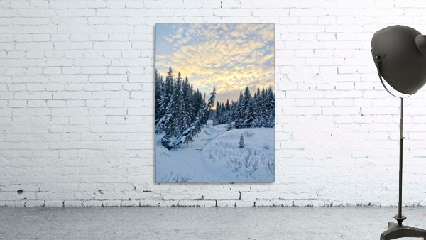 Frozen Wall Preview