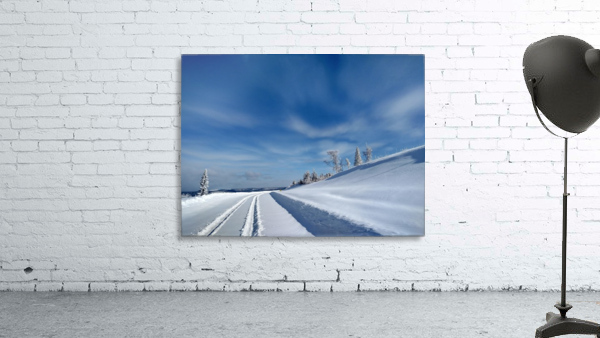 Winter Road Wall Preview