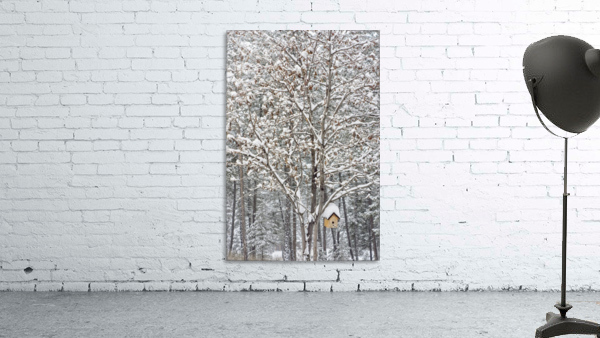 Mountain Ash Wall Preview