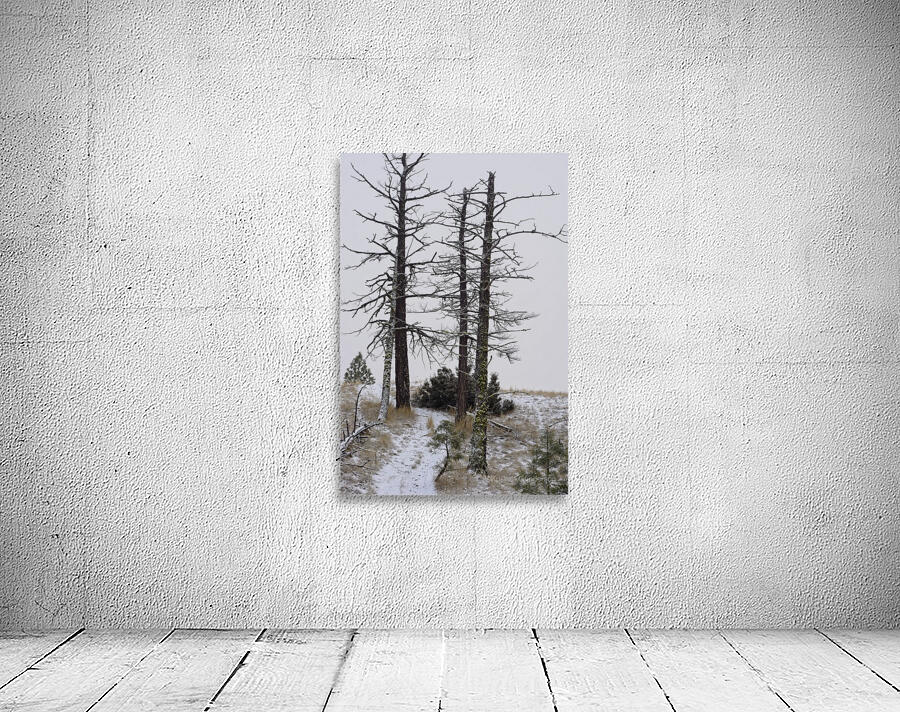 Snowcovered Path Wall Preview