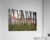 Amsterdam  Beginhoff   Acrylic Print