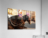Prague Horses Acrylic Print