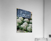 Amsterdam Cauliflower Acrylic Print