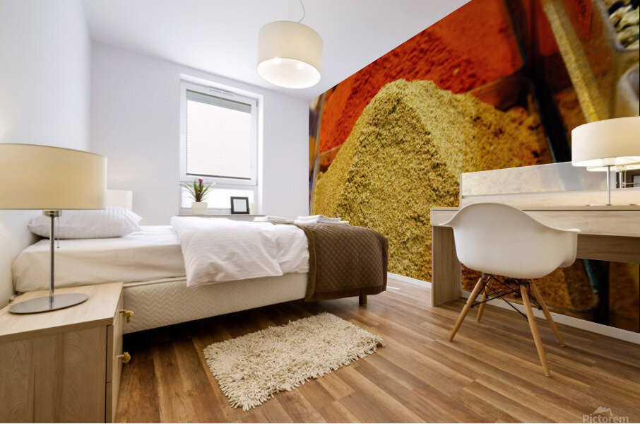 Morocco Spicy Mural print