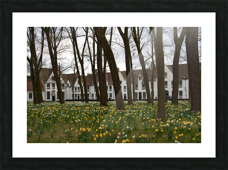 Amsterdam  Beginhoff   Picture Frame print