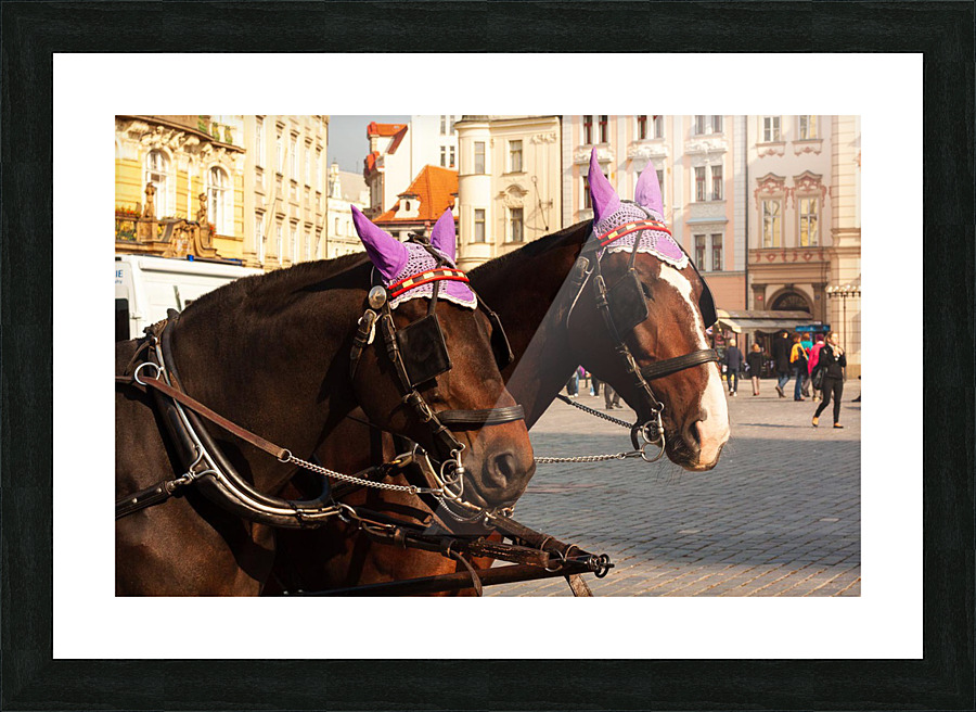 Prague Horses Picture Frame print