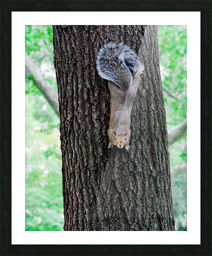 Ill be right down Picture Frame print