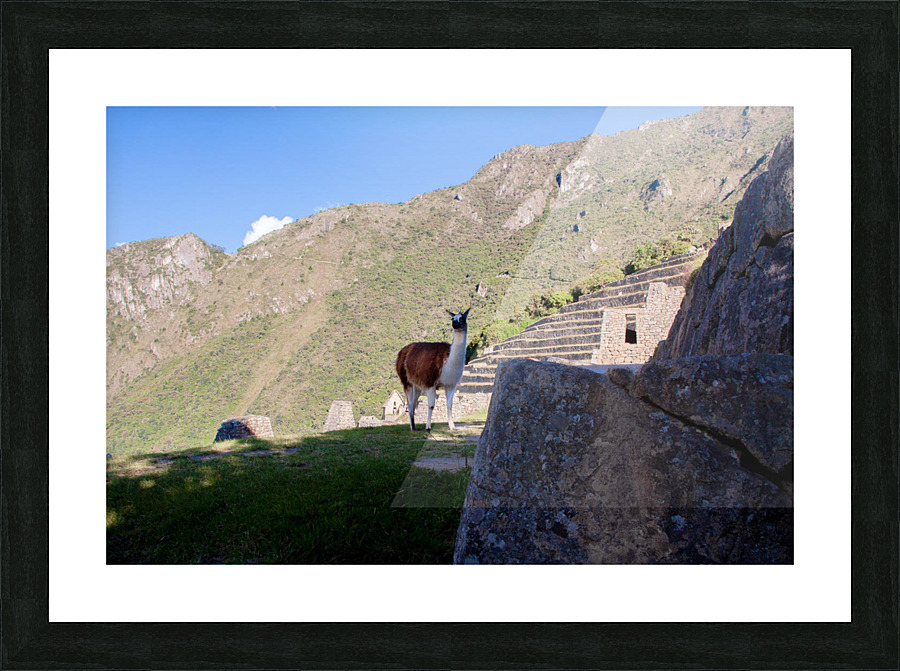 Machu Picchu Picture Frame print