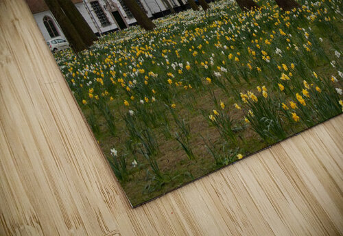 Amsterdam  Beginhoff   nancy rapp puzzle