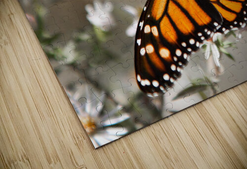 Monarch in flight nancy rapp puzzle