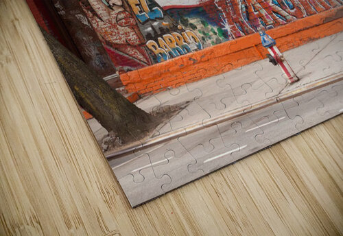 Harlem Graffiti nancy rapp puzzle