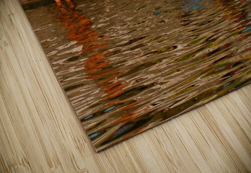  Bathing Ganges  nancy rapp puzzle