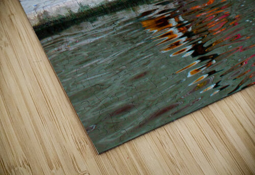 Man Bathing Ganges River nancy rapp puzzle