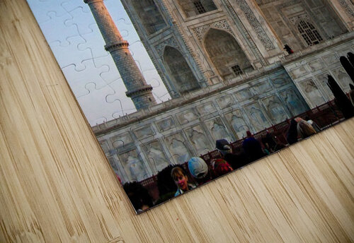 Taj Mahal nancy rapp puzzle