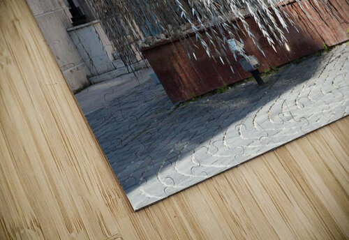 Budapest Hungary  Synagogue nancy rapp puzzle