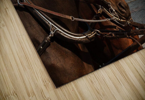 Prague Horses nancy rapp puzzle