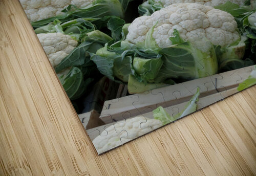 Amsterdam Cauliflower nancy rapp puzzle