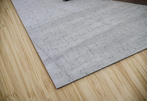 NYC Line Up nancy rapp puzzle