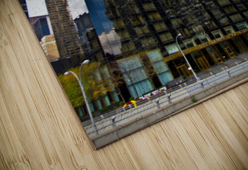 Reflections nancy rapp puzzle