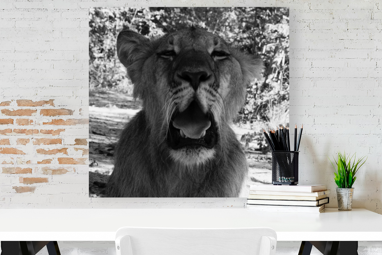 Roar Reproduction