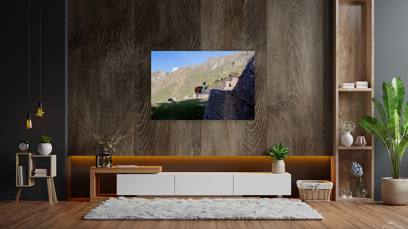Machu Picchu Reproduction