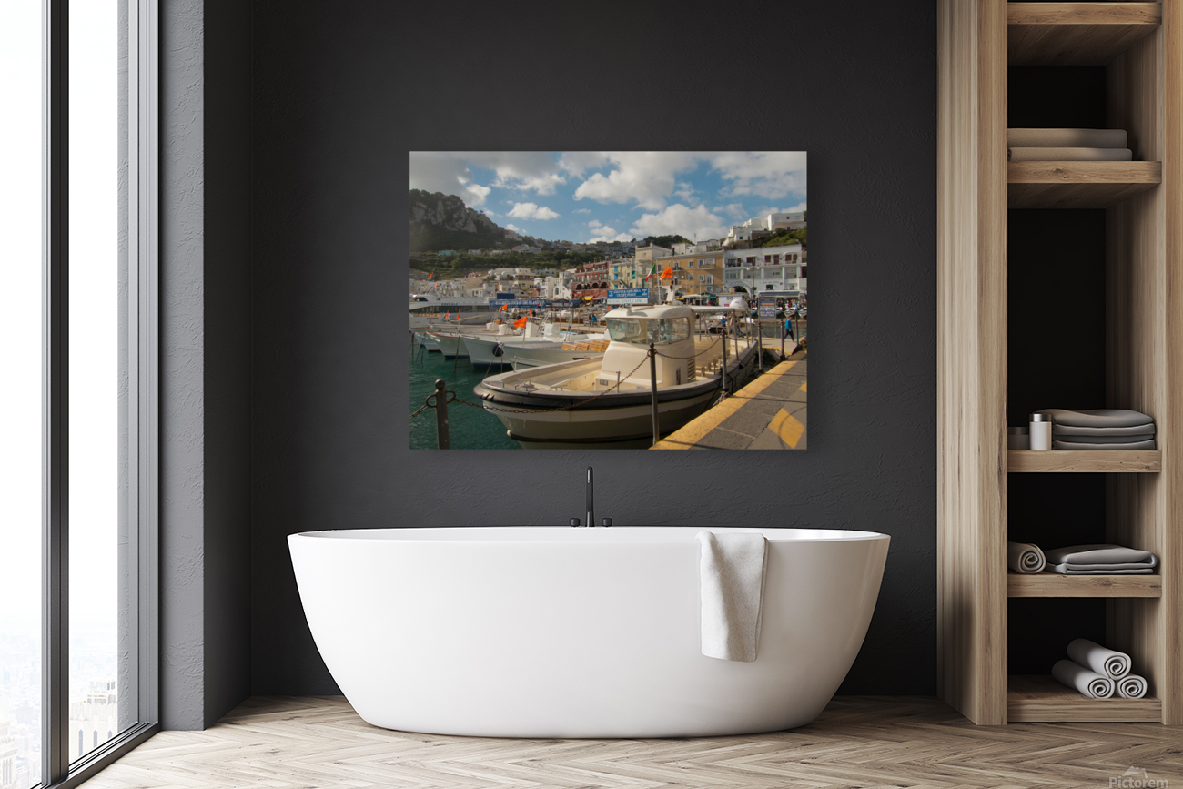 Capri Italy Reproduction