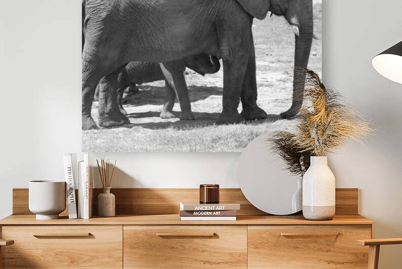 Chobe National Park  Botswana Mother Love by nancy rapp