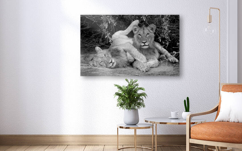 South Africa  Cub  Scouts by nancy rapp