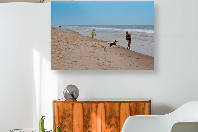 Amagansett   At Play by nancy rapp