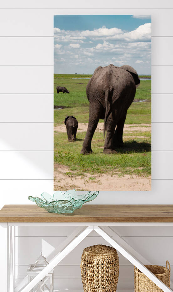 Botswana  Chobe National Park mother and child by nancy rapp